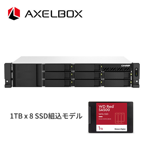 AXEL-1264U-RP-8G/12TB/B