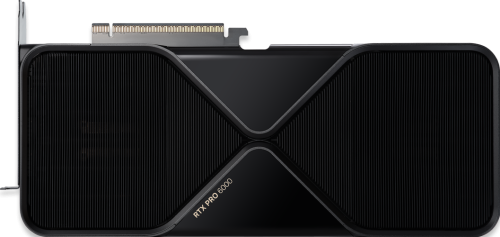 NVIDIA RTX PRO 6000 Blackwell W/E